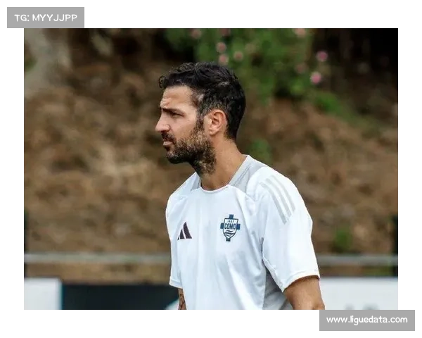 升班马科莫主帅法布雷加斯注入传控基因，率队成赛季黑马